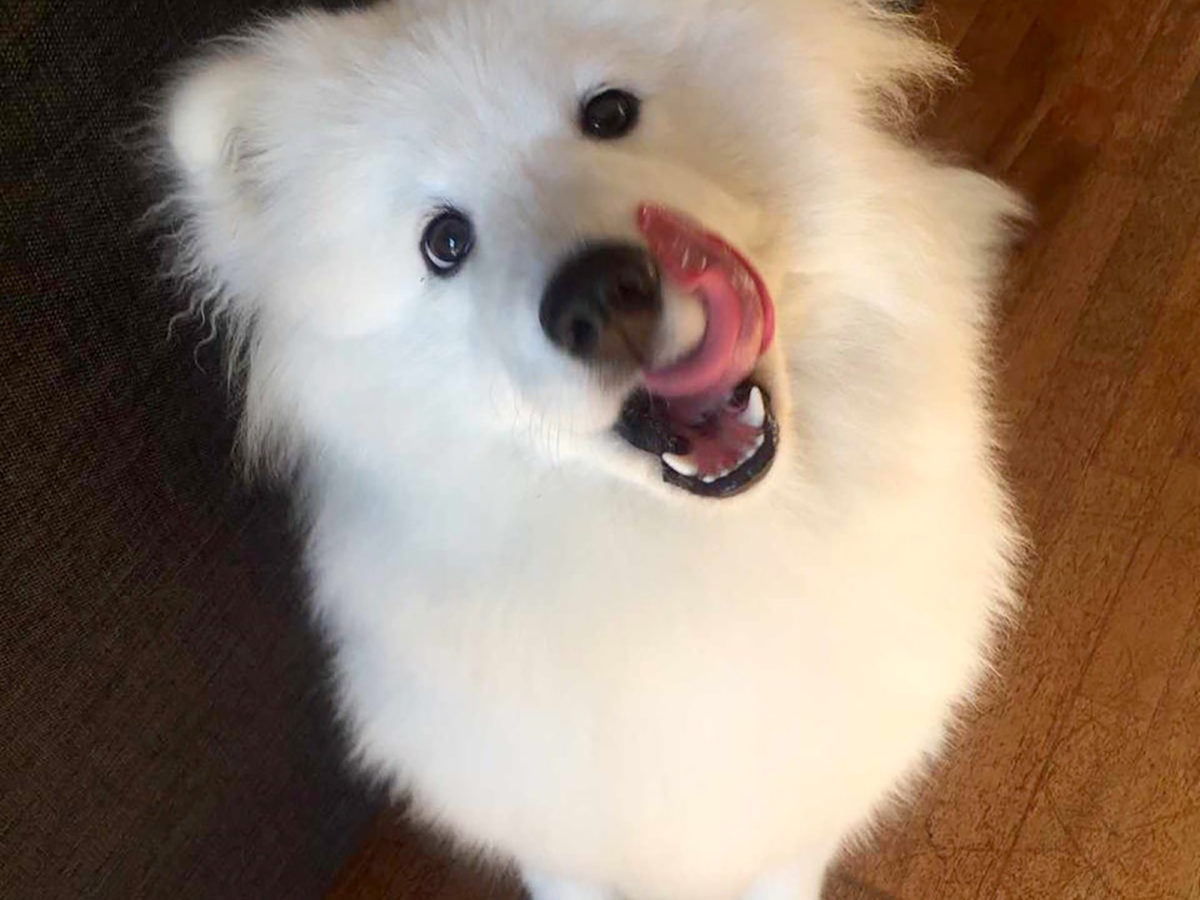 Polar, August 2016