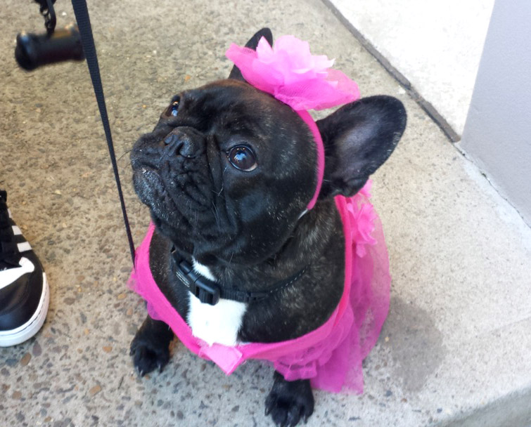 Willows’ “Dress Up” 2nd Birthday Party