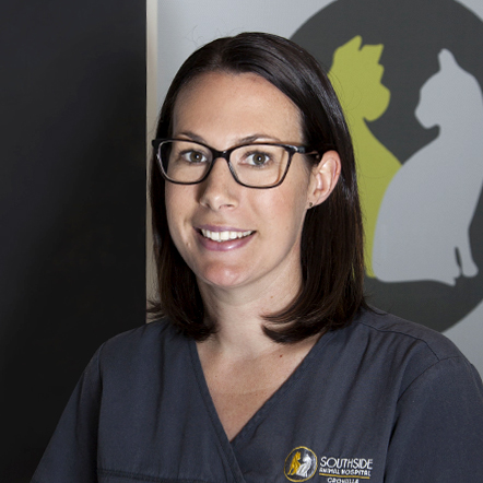 Hollie - Practice Manager and Senior Vet Nurse